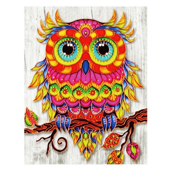 Colored Bird -5D picture size diamond paintings