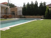 sir walter turf | windsor turf supplies