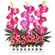 Express your emotions with Express Flowers priceless relations