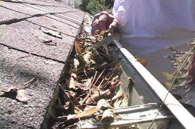Pro Gutter Cleaning