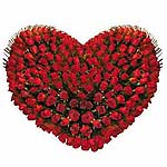 Flowers and gifts delivery to all over Ahmedabad