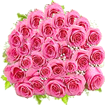 Flowers and gifts delivery to all over Ahmedabad