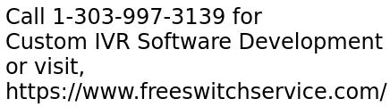 Custom IVR Software Development Services