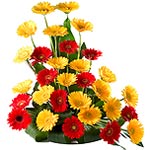 Coddling gifts to care your priceless sentiments       