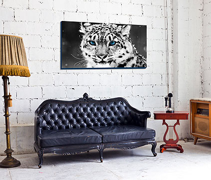 Photos put onto canvas