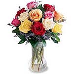 Flowers and gifts delivery to all over Ahmedabad