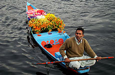 Paradise has the synonym called Kashmir