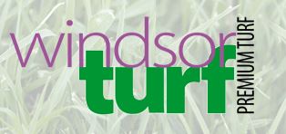 sir walter turf | windsor turf supplies