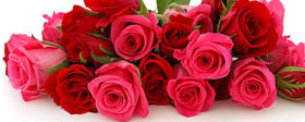 Send Valentine’s Day gifts to all over Ahmedabad