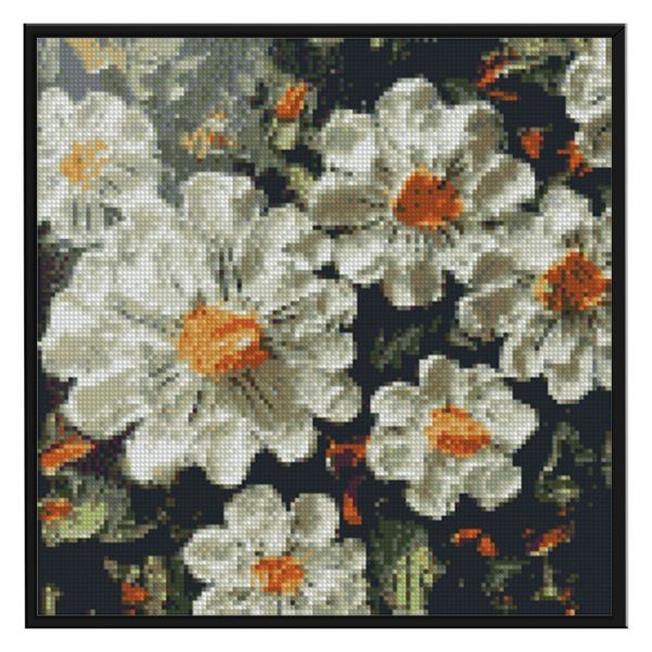Daisy Cross stitch 11ct 40 * 40cm