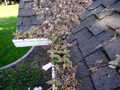 Pro Gutter Cleaning