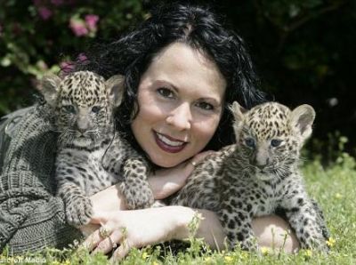 well tamped tiger,lion,cheetah,cougar cubs for sale