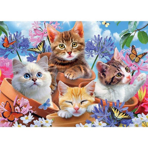 CatWall -5D picture size diamond paintings