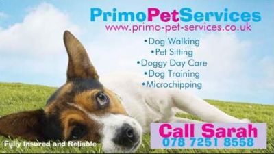 Enfield and Chingford Dog Walker, Pet Sitter, Dog Day Care and more!