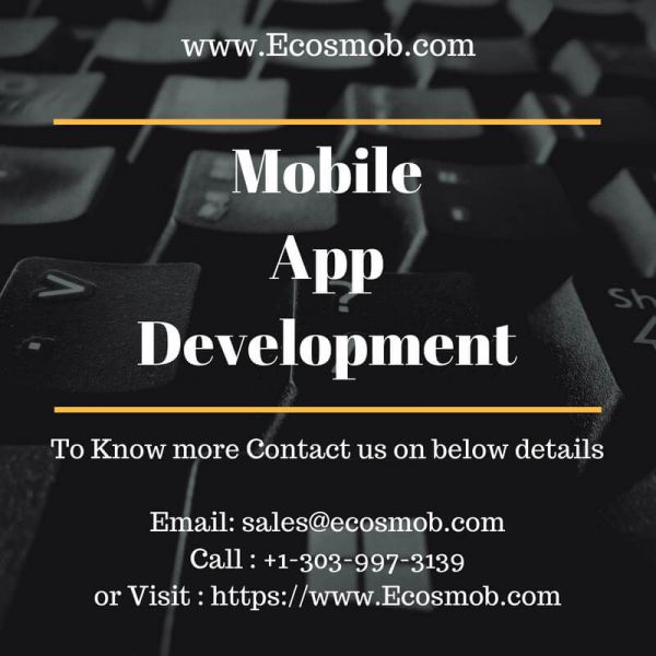 Customized Mobile App Development to Reach Targeted Mobile Audience
