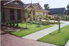 sir walter turf | windsor turf supplies