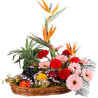 RightFlorist.in stretches its gifts delivery presence to all locations in India
