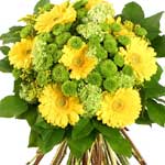 An eternal spring in France with our gifts