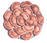 Gift moments to stir up celebration moments