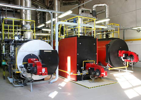 01708522666 Emergency Buderus Commercial  Boiler Installation