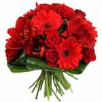 An eternal spring in France with our gifts