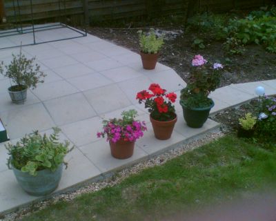 Gardening and Landscaping