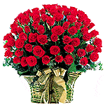 Beautiful creations of nature for your beautiful terms