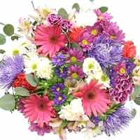 Flowers to add a classical appeal to celebrations 