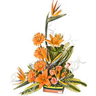 The world is waiting for your wish through us